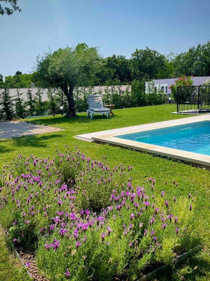 Villa Destiny Nedescina, Istrien, Kroatien Esterno foto